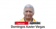 Domingos Xavier Viegas