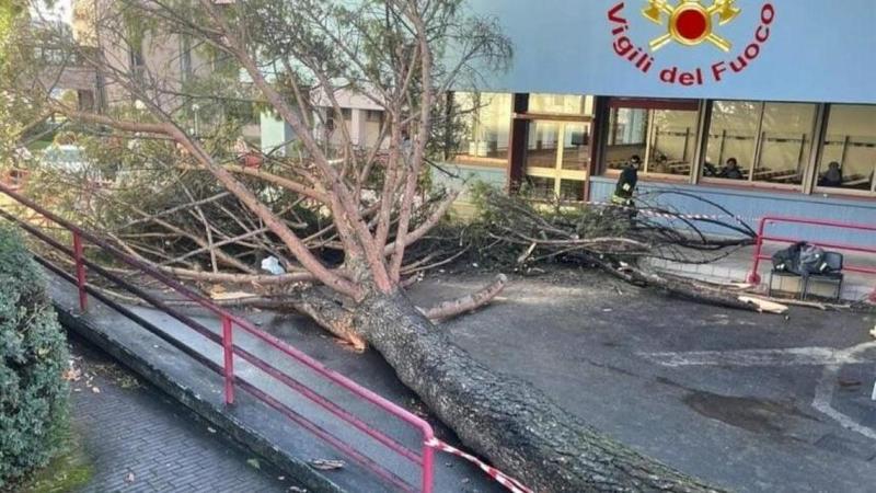 Fisciano, sei indagatiÂ per il crollo dell'alberoÂ che ha feritoÂ tre studenti nel Campus