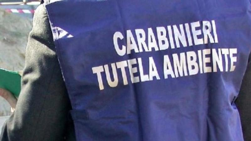 Caivano, gestione illecita dei rifiuti: blitz del Noe, sequestro in un'azienda che raccoglie la differenziata