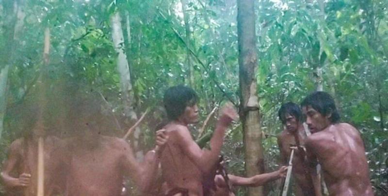 Amazzonia, la tribù dei Massaco scoperta grazie alle telecamere automatiche. Vivono isolati dal mondo