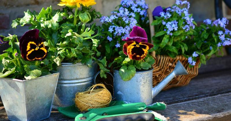 Norwich group invites locals to join them for New Year gardening sessions