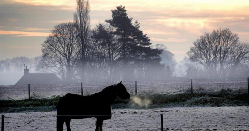 Cold weather alert extended in Norfolk as freezing temperatures continue