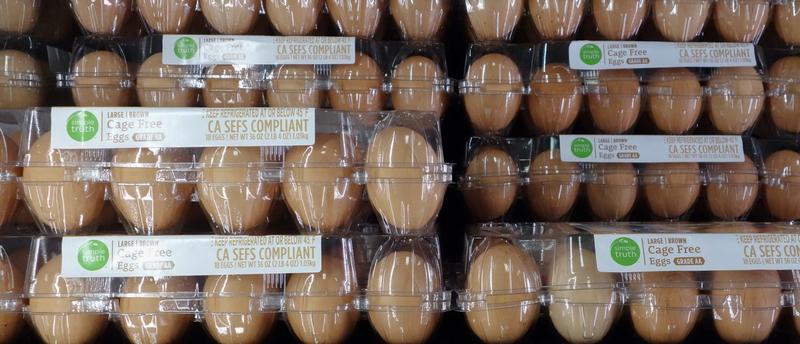 Liberals Cook Up Fearmongering Campaign Against Eggs