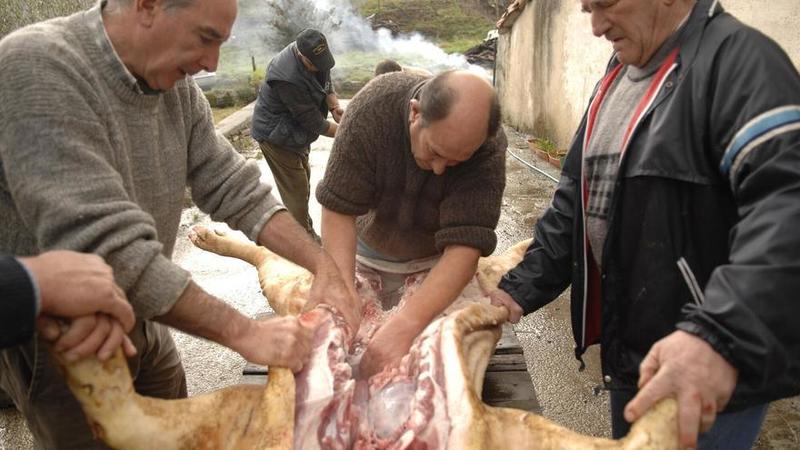 La matanza del cerdo