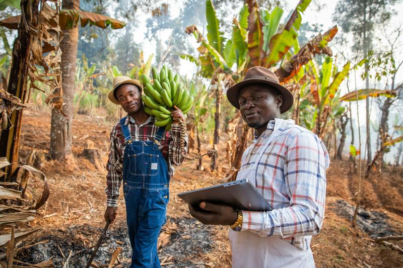 Comment les gouvernements africains soutiennent-ils l’agriculture ?