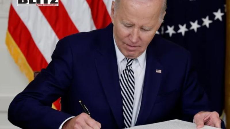 Biden presidency marked by missed opportunities and failures