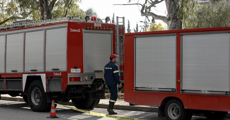 Φωτιά σε δασική έκταση στην Λακωνία