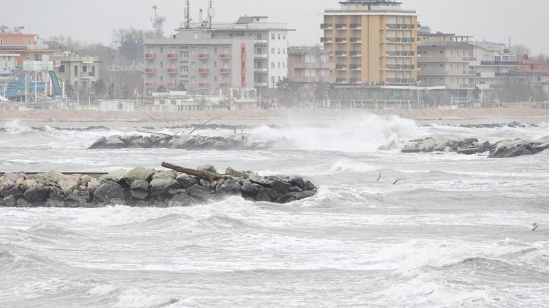 Travolti dalla burrasca. Spiaggia di Rimini sotto attacco ma la duna resiste, alberi spezzati dal vento