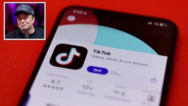 TikTok, la Cina valuta la vendita delle attività Usa a Musk per sfuggire alla Corte Suprema