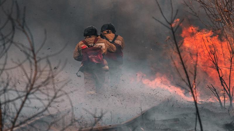 El horizonte que se pierde tras el humo: el papel de las marcas no debe ser ignorado