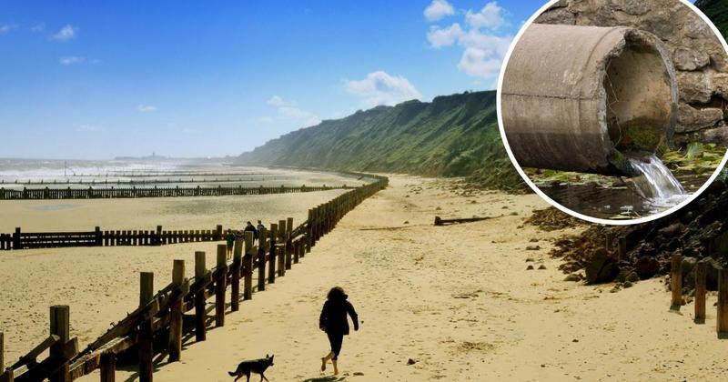 Revealed: Sewage spills into Norfolk's rivers and sea WENT UP in 2024