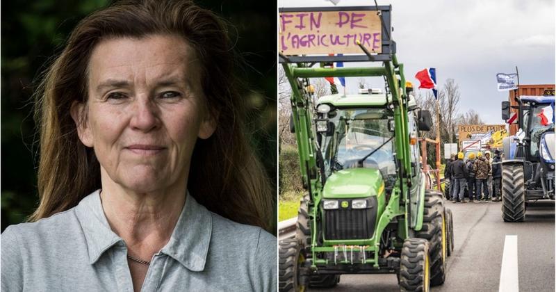 ”Franska bönder på krigsstigen igen – sågar Mercosuravtalet”