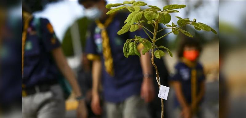 Sem os pequenos negócios, a transição verde não se completa