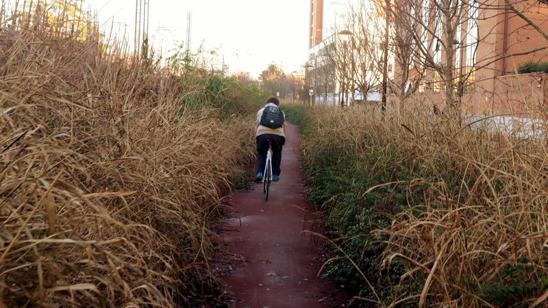 Sfalci ridotti a Milano, il Comune rilancia: “Le 54 aree verdi aumenteranno”