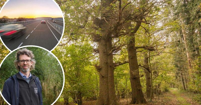 Wildlife charities welcome withdrawal of Norwich Western Link plans