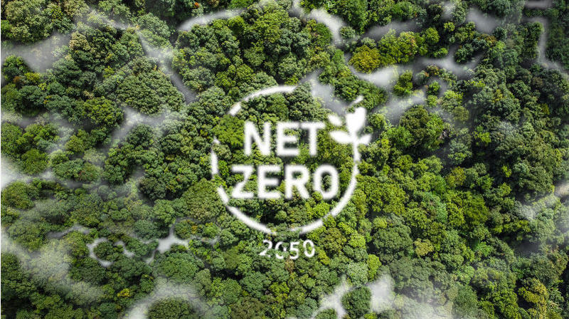 What went wrong on the way to net zero