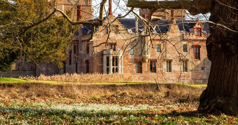 Norfolk estate named among the best in UK for seeing snowdrops