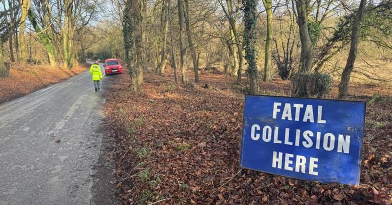 Man dies after Ferrari crashes into tree