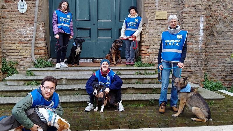 Una passeggiata in centro per cinque cani del canile