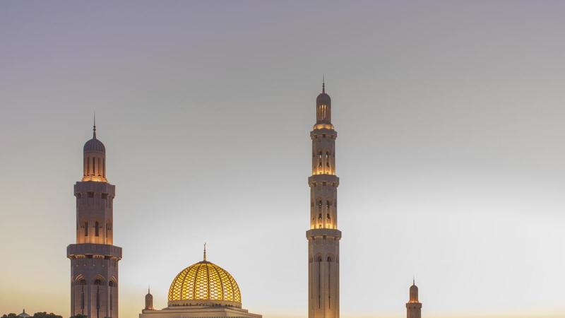 Guardando moschee e delfini si naviga in un “mare” di dune