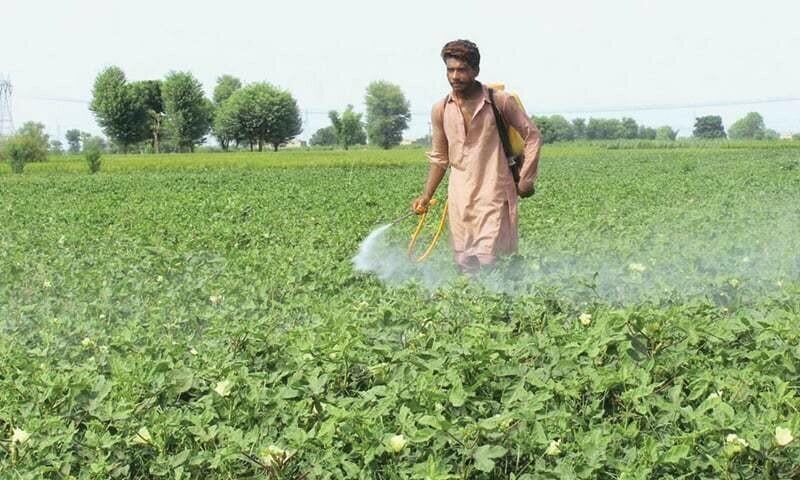 Sindh set to amend farm income law amid PPP lawmakers’ concerns