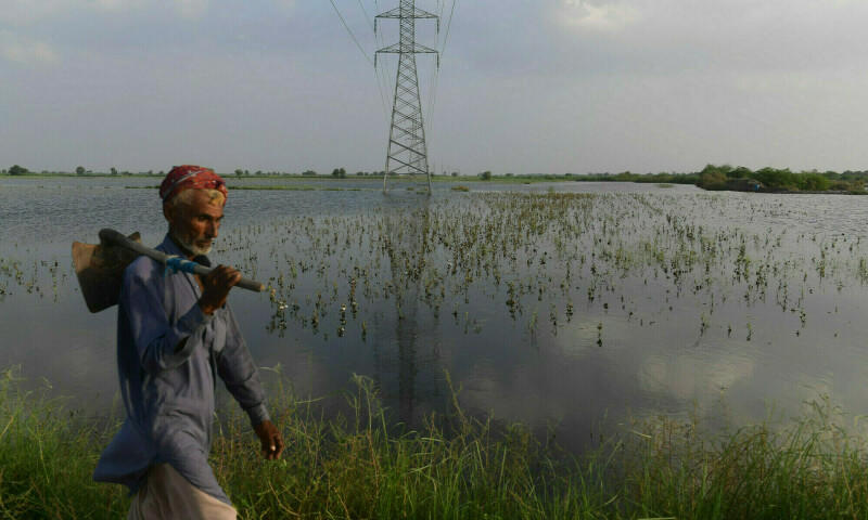 Safeguarding wetlands for a healthier planet