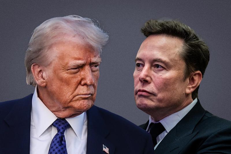 Huh, It Turns Out Voters Don’t Want Elon Musk to Destroy the Government