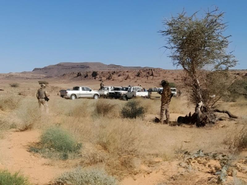 “Lobos del Desierto”: así operan los mercenarios colombianos en Sudán