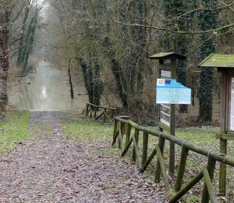 Sant’Agostino, scontro in municipio sul Bosco della Panfilia