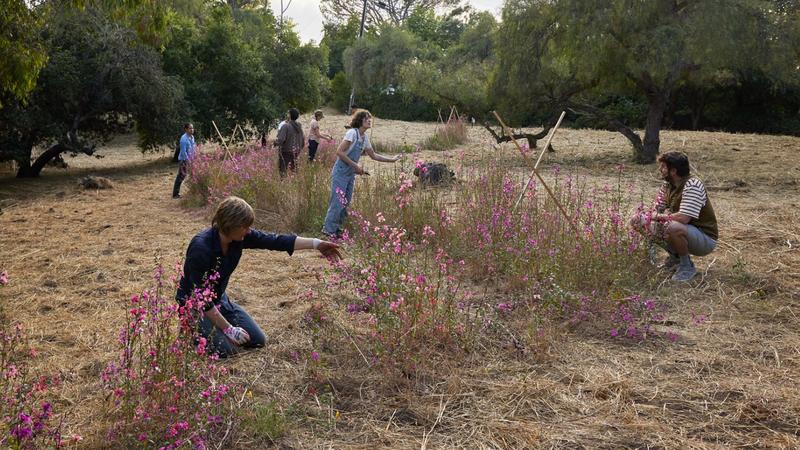 This small tweak to California parks could help prevent fires