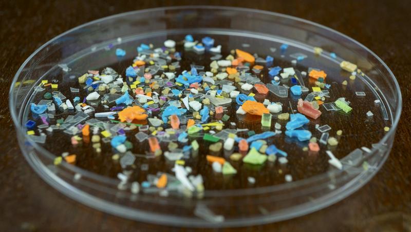 What’s that microplastic? Advances in machine learning are making identifying plastics in the environment more reliable