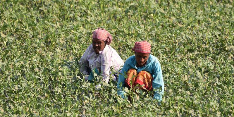 Women’s Land Rights: The Missing Key to Climate Action